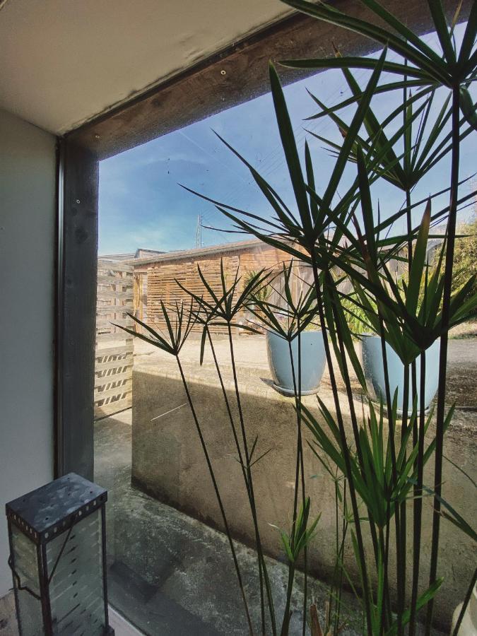 La Bulle D'Embruns D'Herbe Plogoff Dış mekan fotoğraf