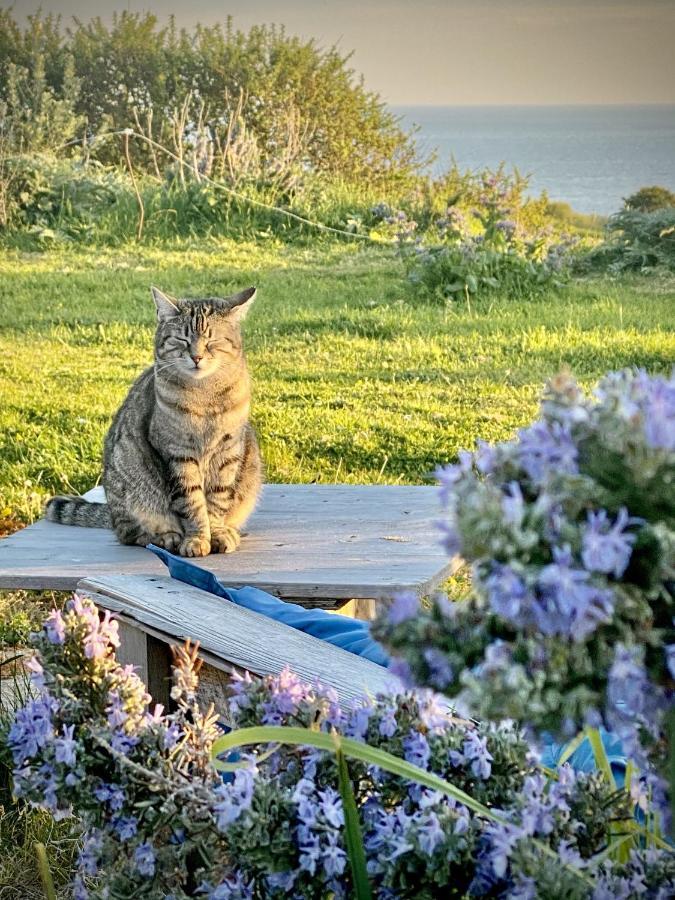 La Bulle D'Embruns D'Herbe Plogoff Dış mekan fotoğraf